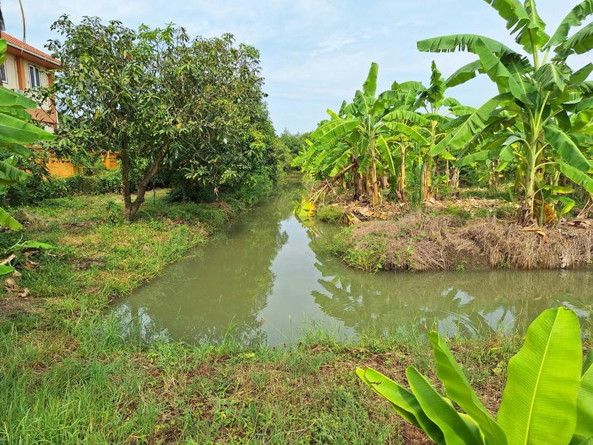 ขายที่ดินสวย อำเภอกำแพงแสน  จังหวัดนครปฐม 5 ไร่ 5 ตารางวา 8