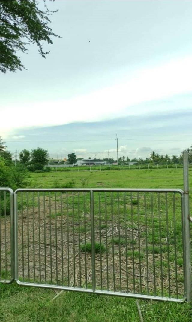 ขายที่ดินเปล่าถมแล้วจำนวน 4 ไร่ ต.เขาขลุง อ.บ้านโป่ง จ. ราชบุรี ห่างถนนใหญ่ 40 เมตร(ถนนกำลังขยาย 4 เลน) 2