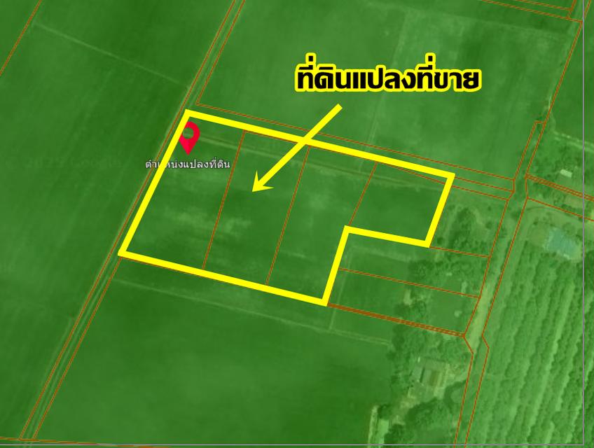 ขายที่ดินเปล่า คลอง16 (หนองปล้อง) อำเภอดอนเจดีย์ จังหวัดสุพรรณบุรี 6
