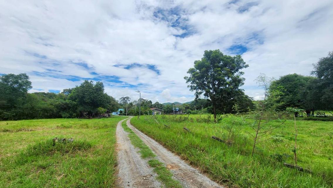 ที่ดินติดริมน้ำวิวเขาปากช่อง.( 3-3-12 ไร่.)( 5,500 บ./ตร.วา )  | ( น.ส.3ก ) หายาก ราคาพิเศษ!!  17