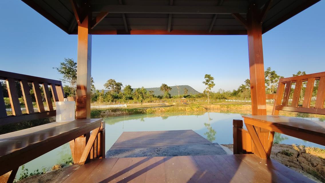 ที่ดิน " วิวภูเขา " อากาศดี ใกล้วังน้ำเขียว ใกล้ทางหลวง 304 วิวภูเขาลอมรอบ ภูหลวง ปักธงชัย นครราชสีมา มีให้เป็นเจ้าของอีก 5 แปลง เท่านั้น 7