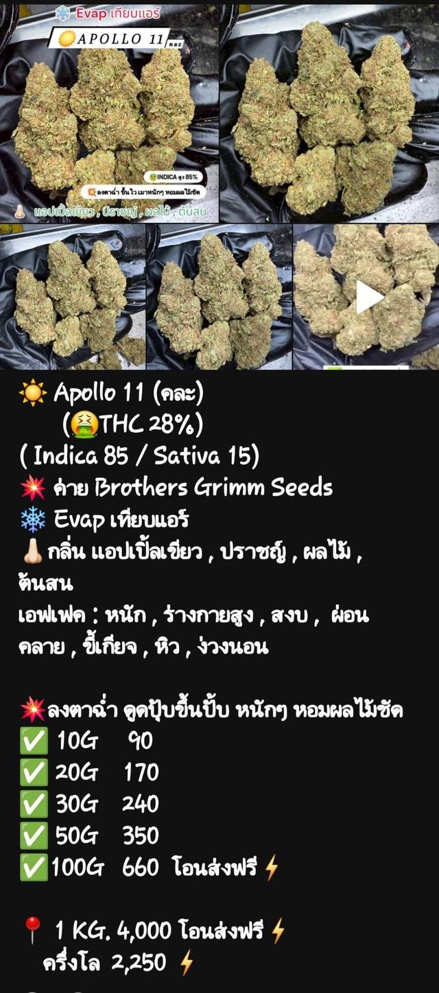 กัญๆ📲💯 10