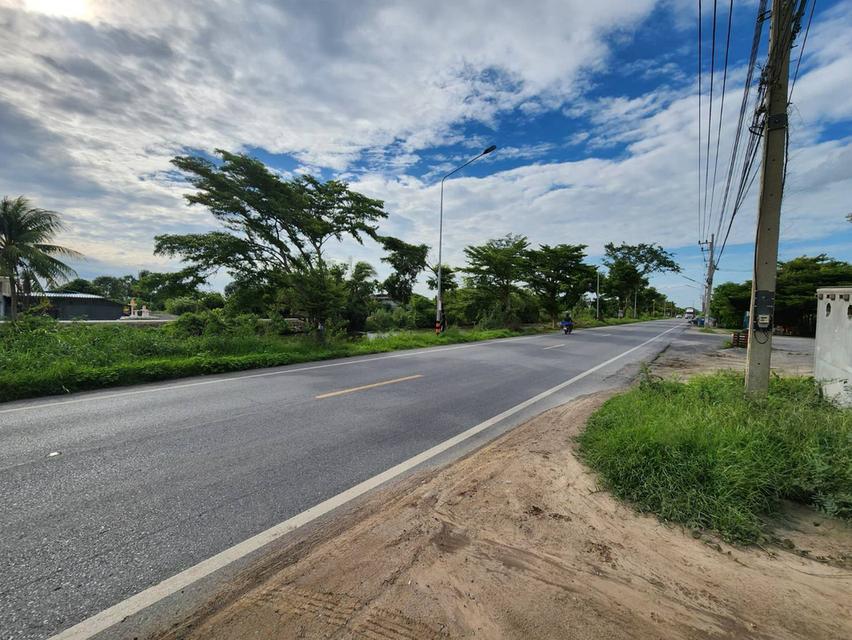ขายที่ดินแปลงสวย ลาดหลุดแก้ว ปทุมธานี ถ.เลียบคลองใหญ่  2ไร่1งาน  ถมแล้ว ทำรั้วกั้นเขตพื้นที่ครบทุกด้าน พร้อมใช้งาน  เพียงวาละ 25,000 15