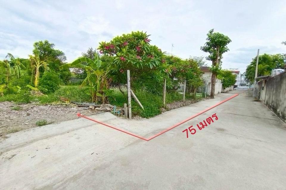 ที่ดิน  ถนนแจ้งวัฒนะ  ถมแล้ว นัดชมด่วน  085-318-6868​คุณวา 3