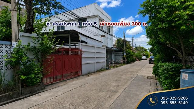 ขายที่ดินถมนานแล้ว 55 ตรว.ล้อมรั้ว4 ด้าน ติดถนนสาธารณะ สรงประภา 1 แยก 2 ใกล้สนามบินดอนเมือง ดอนเมือง กรุงเทพ 3