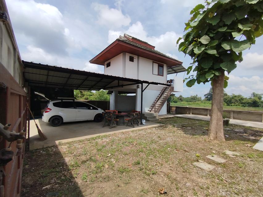 บ้านริมน้ำปิง ป่าซาง ลำพูน 1