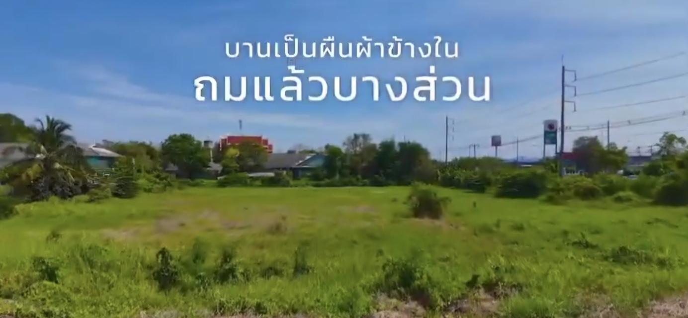 ขายที่ดินเปล่าน้ำไม่ท่วม ต.อ่างทองราชบุรีหน้าทางเข้าติดเพชรเกษม4เมตร 6