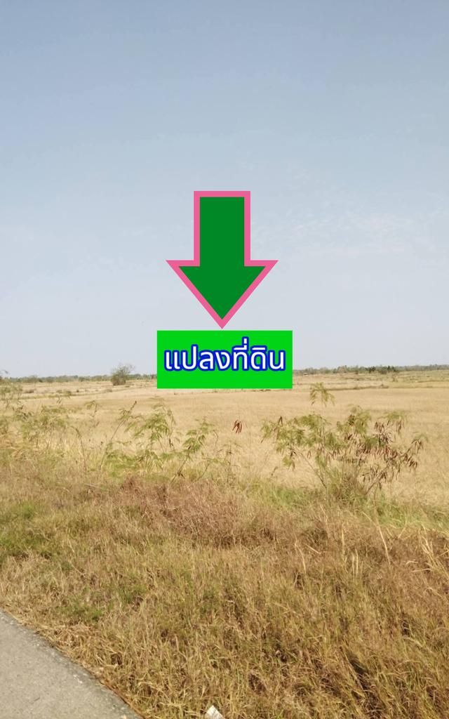 ขายที่ดินตำบลสี่มุมอำเภอเมืองนครราชสีมา ติดถนนเลียบมอเตอร์เวย์บางปะอินนครราชสีมา 3
