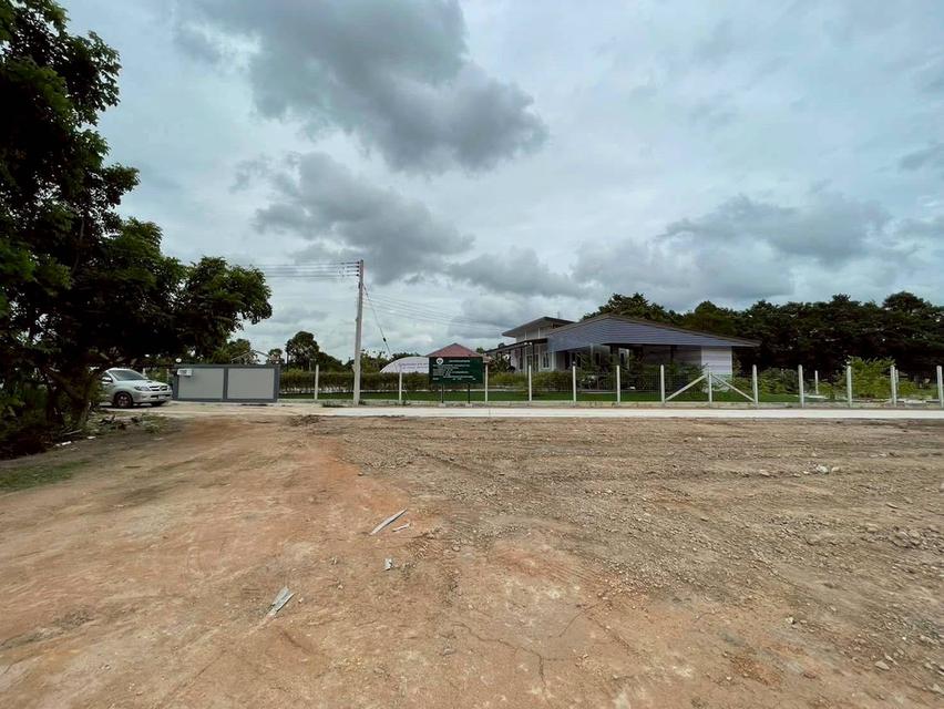 ขายที่ดินตาขัน 1 ไร่ ถมแล้ว ใกล้ตลาดสดบ้านค่าย9กม. ใกล้ถนนเส้นเชิงเนิน-ชากบก1.6กม. อ.บ้านค่าย ระยอง 2