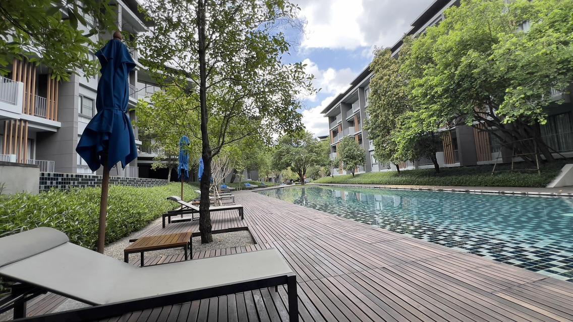 ขายคอนโดเขาใหญ่23องศา 23 Degree Condo by Sansiri 97ตรม.ราคา6.9ล้านติดต่อสอบถามโทร0934415691 2