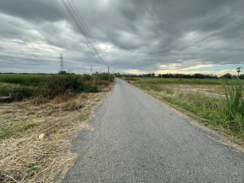 ขายที่ดินเปล่า เนื้อที่ 55-3-36 ไร่ ถนนศุขประยูร ตำบลหนองตีนนก อำเภอบ้านโพธิ์ จังหวัดฉะเชิงเทรา 12