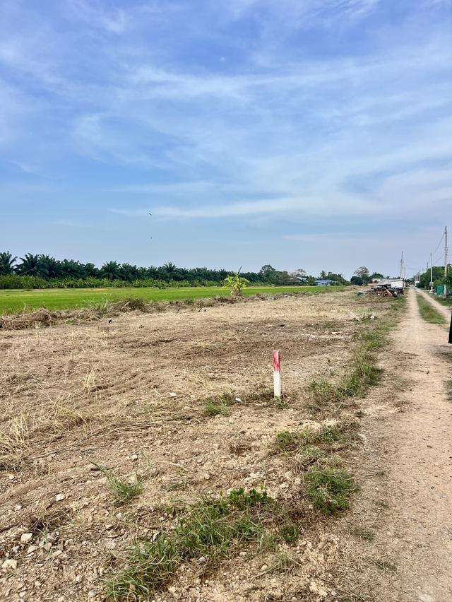 ขายที่ดินคลอง 8 หนองเสือ 200 ตรว. ถมแล้วที่โฉนดนส.4พร้อมโอน จ.ปทุมธานี 6