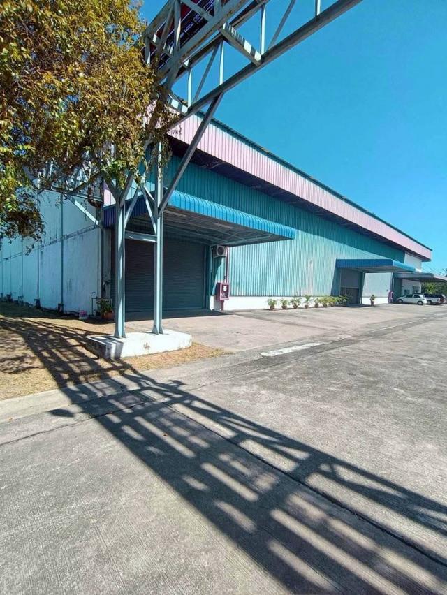 ขาย โรงงาน บ้านบึง ชลบุรี 24 ไร่ 10,000 ตรม. ผังม่วงลาย เริ่มดำเนินกิจการได้ทันที 5