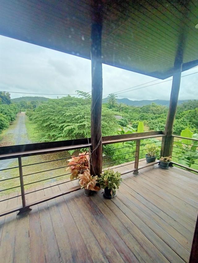 บ้านในสวนว่างให้เช่า 7