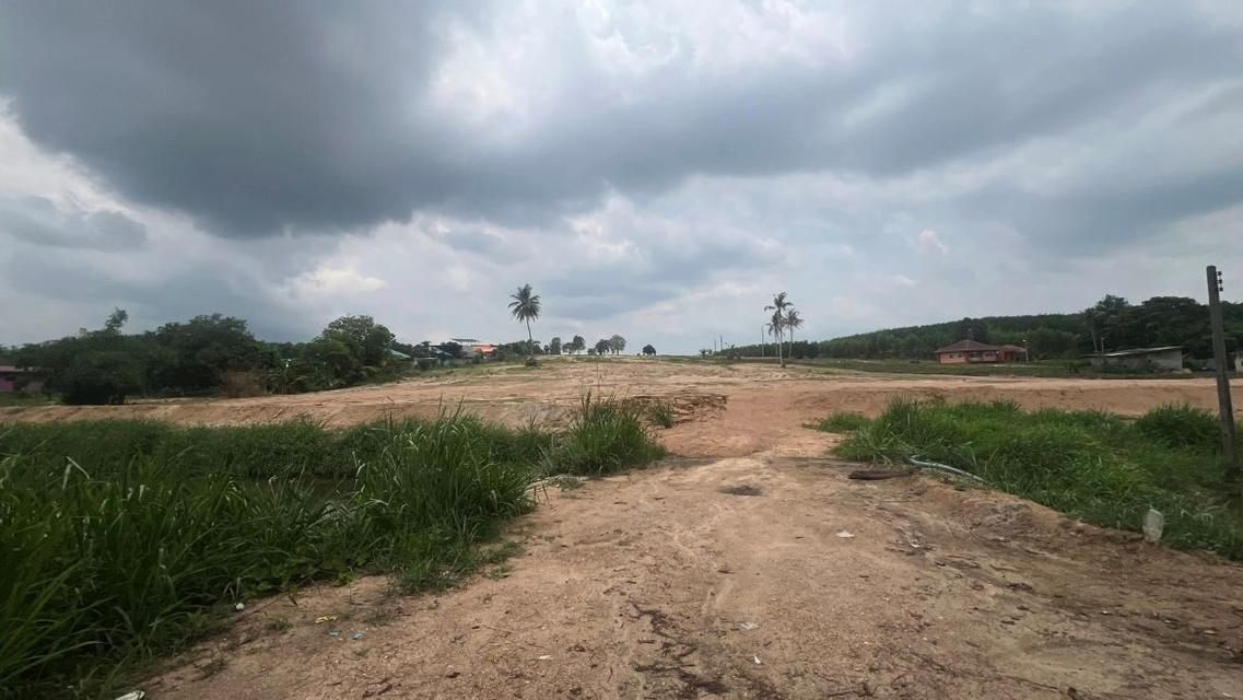 ขายที่ดินม่วงลายติดถนน รย.2026 นิคมพัฒนา ระยอง 4