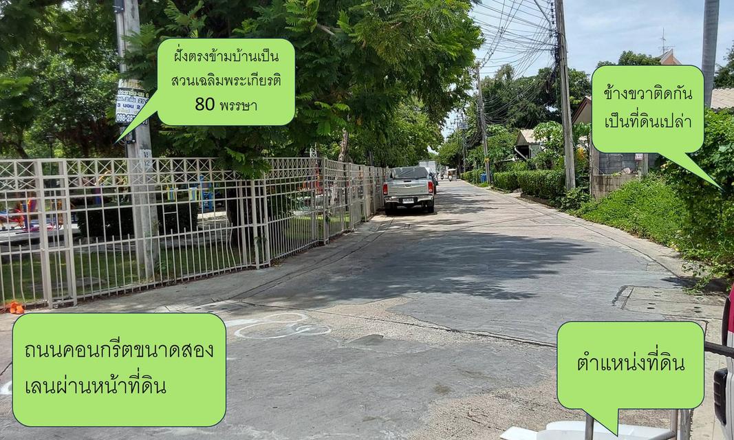 ที่ดินสวย 65 ตรว. งามวงศ์วาน 31 6