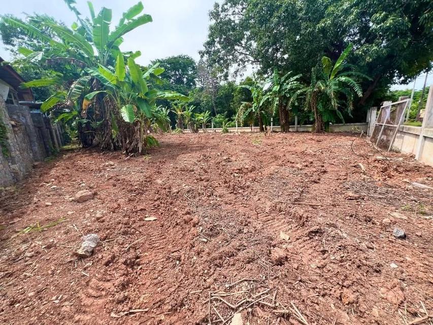 ขายที่ดิน ตรงข้าม Sunflower Residence , มีเพื่อนบ้าน ใกล้ ร้านอาหารริมทะเล เซเว่นหน้าปากซอย เหมาะทำบ้านพักตากอากาศ หรือ ลงทุน ซื้อเก็บ ฯ 9