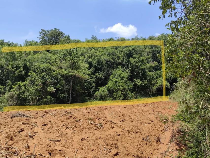 ที่ดินเปล่า 6 ไร่ 3 งาน 4.5 ล้าน บ.สวนห้อม อ.วังน้ำเขียว 6