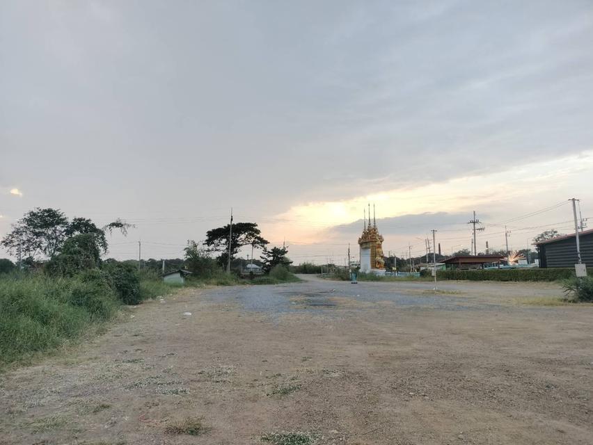ขายที่ดินสวย 1-3-93 ไร่ ทำเลดี ติดถนนใหญ่ เสนา บางบาล ใกล้ตัวเมืองจังหวัดพระนครศรีอยุธยา 5