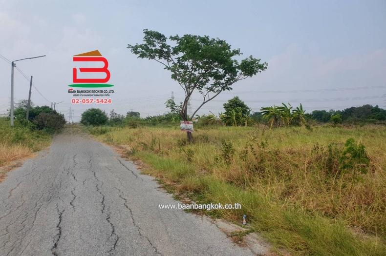 ที่ดินเปล่า หลังสถานีอนามัยบึงชำอ้อ คลองแปด เนื้อที่ 100 ตรว. ถนนรังสิต-นครนายก ตำบลบึงชำอ้อ อำเภอหนองเสือ จังหวัดปทุมธานี 4