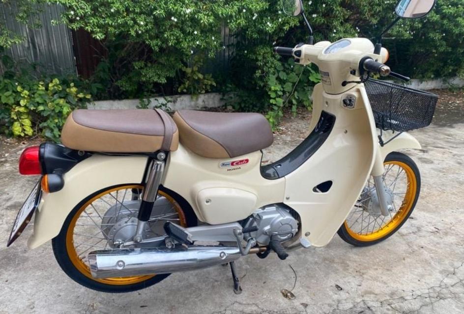 Honda Super Cub สภาพดี 4