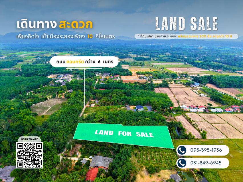 ขายที่ดิน อ.บ้านค่าย จ.ระยอง - 4 ไร่ 1 งาน 92.3 ตารางวา 5