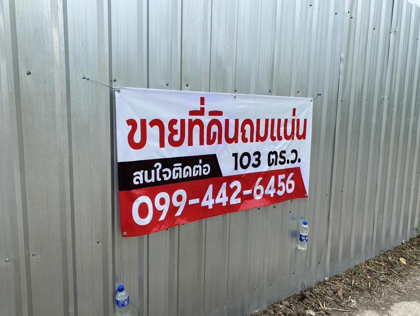 ที่ดินถมดินเหนียว ดินแน่นพร้อมปลูก กทม.ใกล้ศูนย์ราชการ รถไฟฟ้า 103 ตรว. 9