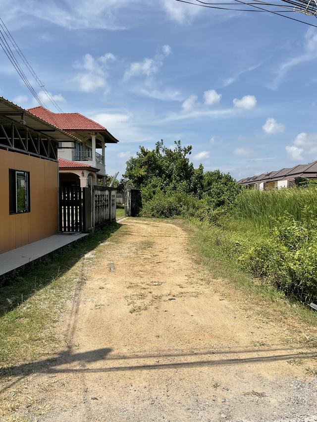 ที่ดิน 118 ตารางวา ใกล้ดาวนายร้อย สงขลา 4