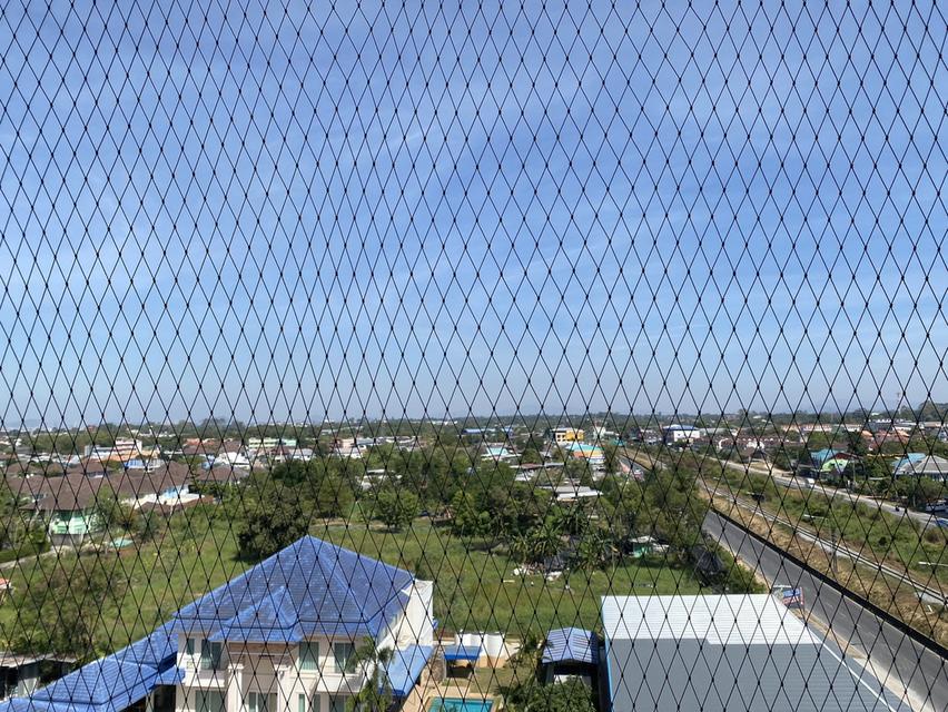 ให้เช่า เดอะ กรีน ลีฟวิ่ง คอนโด 8,000 บาท •	ขนาด 34 ตารางเมตร •	1ห้องนอน 1ห้องน้ำ ห้องนั่งเล่น •	โซฟา, ทีวี,เครื่องปรับอากาศ •	ระเบียง •	สระว่ายน้ำและ 5