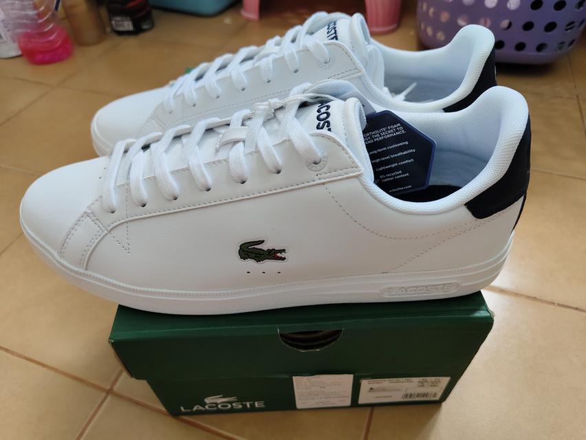 รองเท้าผ้าใบLACOSTE ไซส์ UK9 USA43