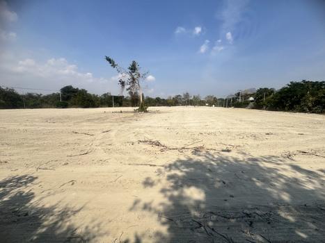 P-9 ขายที่ดินทำเลสวยติดถนน พื้นที่หุบกะพง พื้นที่ 151 ตร.วา ขึ้นไป ราคาเริ่มต้นที่ 14,000 บาท 6