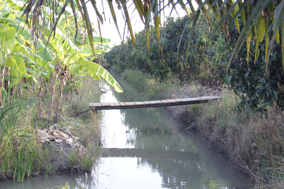 ขายที่ดินสวย อำเภอกำแพงแสน  จังหวัดนครปฐม 5 ไร่ 5 ตารางวา 2