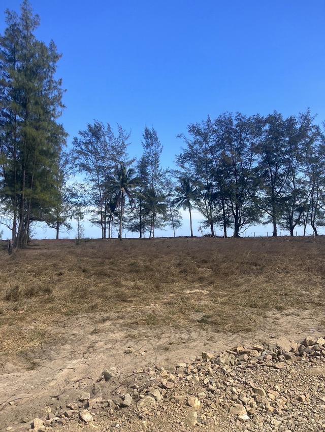 ขายที่ดินติดทะเล หาดบ้านกรูด 4