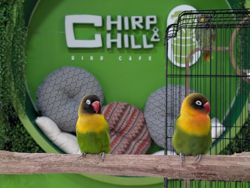 Shop for Leasing at Chatuchak รูปที่ 2