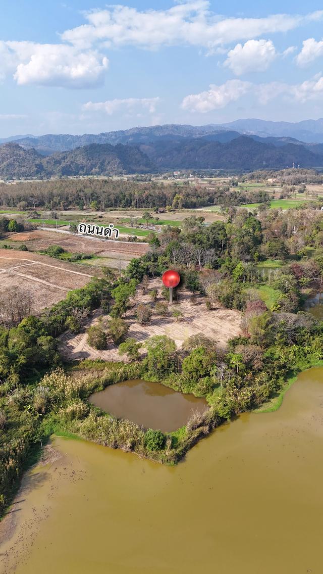 ประกาศขายที่ดิน ทำเลศักยภาพ ใกล้ไร่ชาฉุยฟง ตำบลศรีค้ำ อำเภอแม่จัน จังหวัดเชียงราย 57110 4