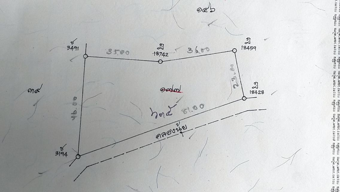 ขาย/ให้เช่า/หรือแลกเปลี่ยน ที่ดินสวนผลไม้ 1 ไร่ 2 งาน 3.8 ตร.ว. ติดคลองนุ้ย ต.ตำนาน อ.เมืองพัทลุง 10