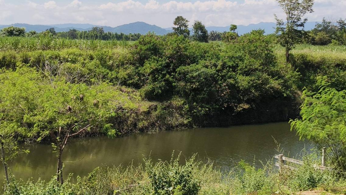 ขายที่หนองสาหร่าย ปากช่อง ที่ติดน้ำ วิวเขาสวย ที่ดิน 1ไร่ 59 ตร.ว ที่สวย ลมดีอากาศถ่ายเท ทำเลดี ใกล้เส้น2235 สนามกอล์ฟแรนโชว์ ตลาดสด เซเว่น 0879074045 1