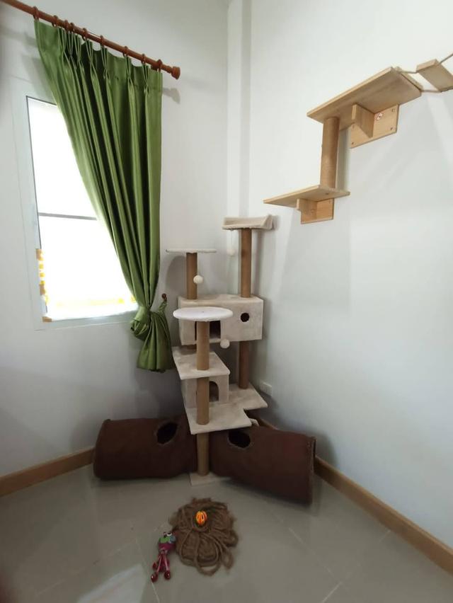 🏠 ให้เช่าบ้านเดี่ยวชั้นเดียว พื้นที่กว้าง ใกล้ รพ.ดารารัศมี 10