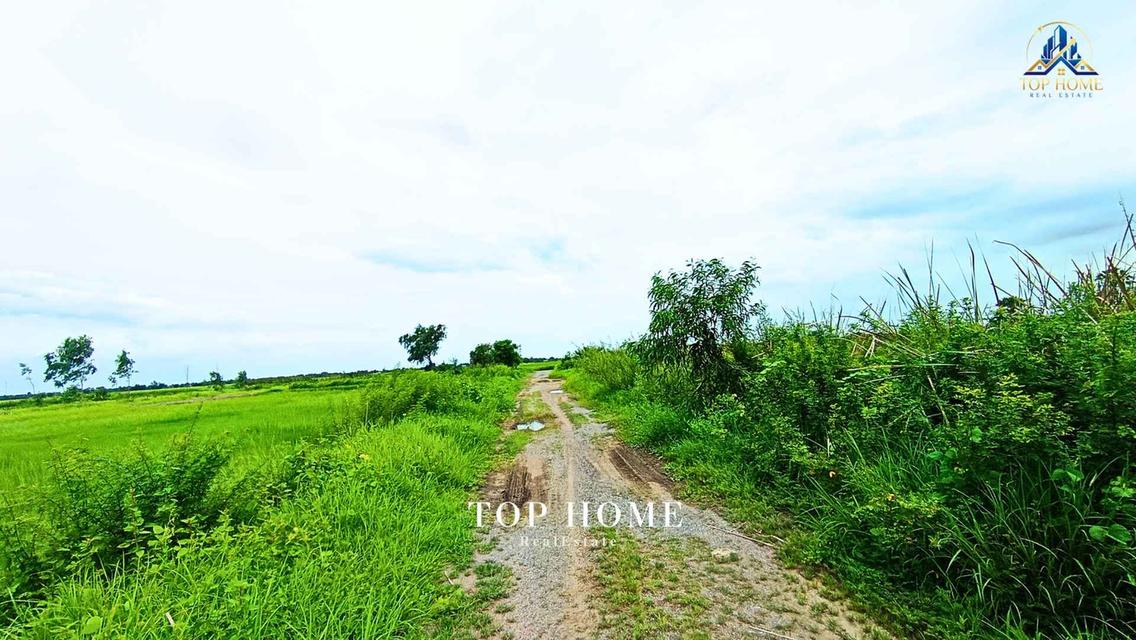 ขายด่วน! ที่ดินเปล่า 200 ตร.ว. องครักษ์ 24 — ราคาเพียง 590,000 บาท! 🔥 🌿 แปลงสวย ขนาดกำลังดี เหมาะทำสวน–เพาะปลูก | โฉนดเดียว 5