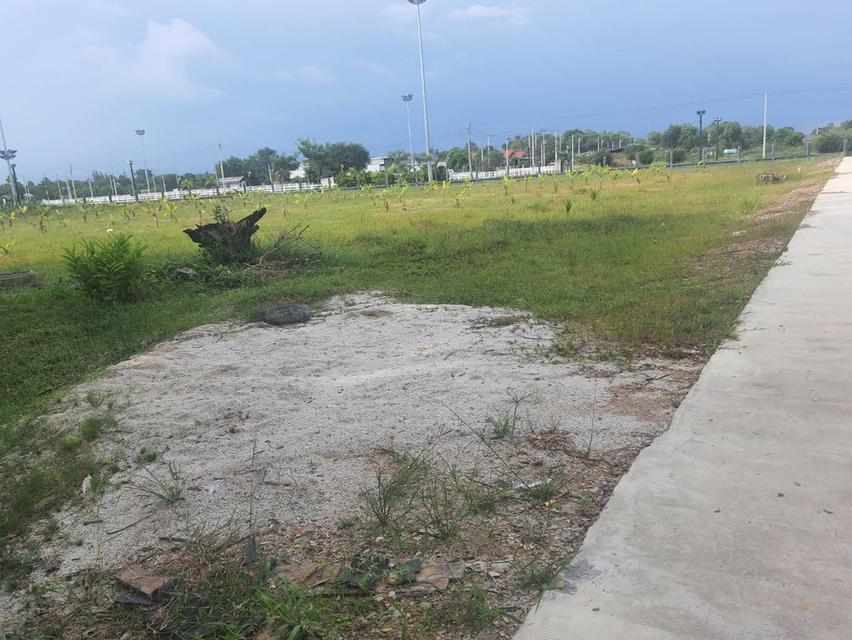 ขายที่ดินตาขันถมแล้ว 2 ไร่ ติดถนนคอนกรีต ซ.สวนสุขภาพหนองอ้อใกล้แยกบ้านแลงถนนเส้น36-3.7กม. อ.บ้านค่าย ระยอง 1