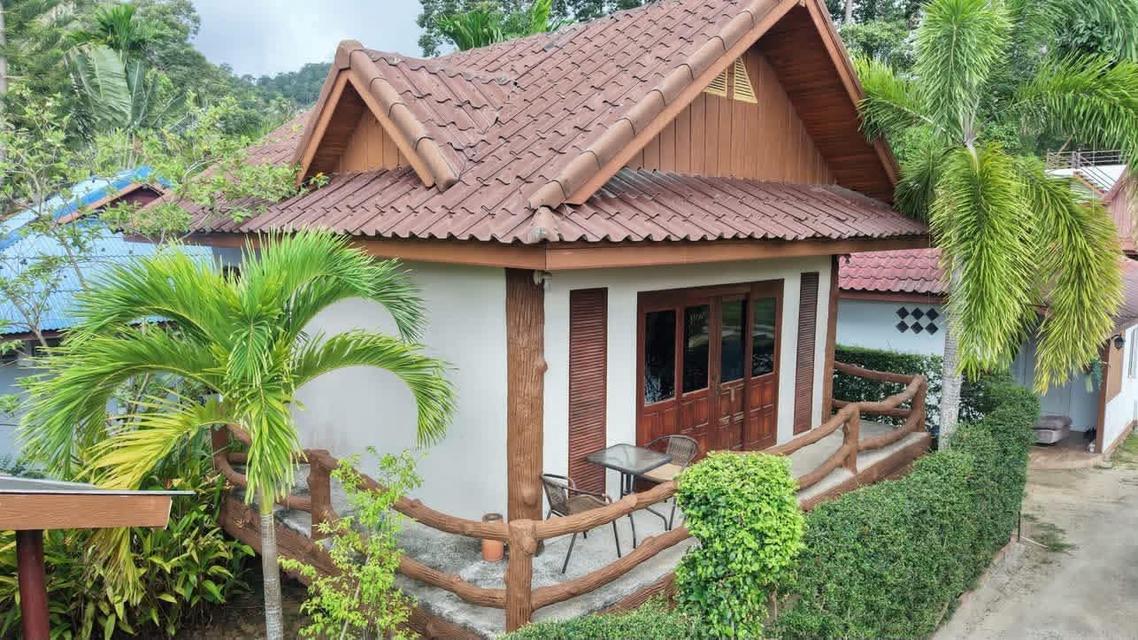 ขายต่อรีสรอทติดทะเลเกาะพงันซื้อปุ๊บรับรายได้ทันทีเพราะมีลูกค้าพักอยู่ตลอดมูลค่าทรัพสินเกือบ20ล้านขายด่วนเะยง16.5ล้าน รูปย่อยที่ 3