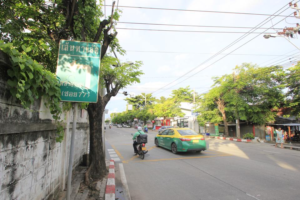 ที่ดินเพชรเกษม69 สวัสดิการ1 เลียบคลองภาษีเจริญฝั่งเหนือ 285วา ที่ดินสร้างบ้าน บ้านเช่า โกดัง ราคาพิเศษ 14