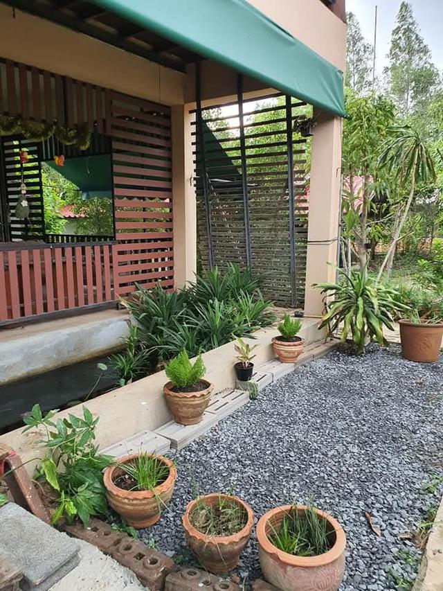 บ้าน2 ชั้น 3ห้องนอน 2ห้องน้ำ พื้นที่ใช้สอย 260 ตรม. พร้อมที่ดิาปลูกผลไม้รอบบ้าน 1 ไร่ 4