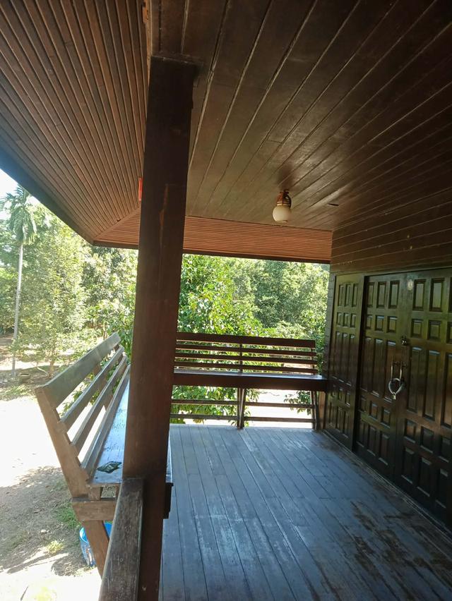 ขายที่ดิน 💥มีสวนผลไม้,สวนยาง,บ้านเรือนไทย 5