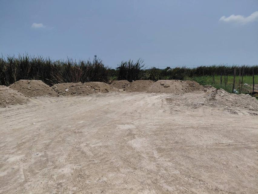 ขายที่ดิน ลาดกระบังคุ้มเกล้า 7