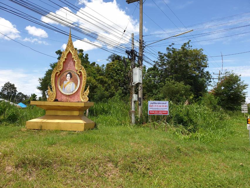 ขายที่ดินเปล่า สวนผึ้ง  เนื้อที่ 1 ไร่ - 3 งาน - 53 ตารางวา 5