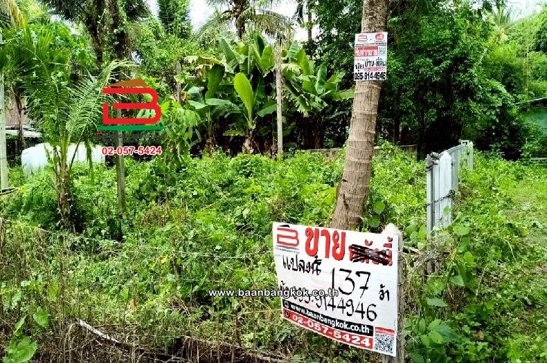 ที่ดินเปล่า ท่านัด-ดำเนินสะดวก เนื้อที่ 137 ตร.ว (ใกล้โรงพยาบาลส่งเสริมสุขภาพตำบลท่านัด) ตำบลท่านัด อำเภอดำเนินสะดวก จังหวัดราชบุรี 2