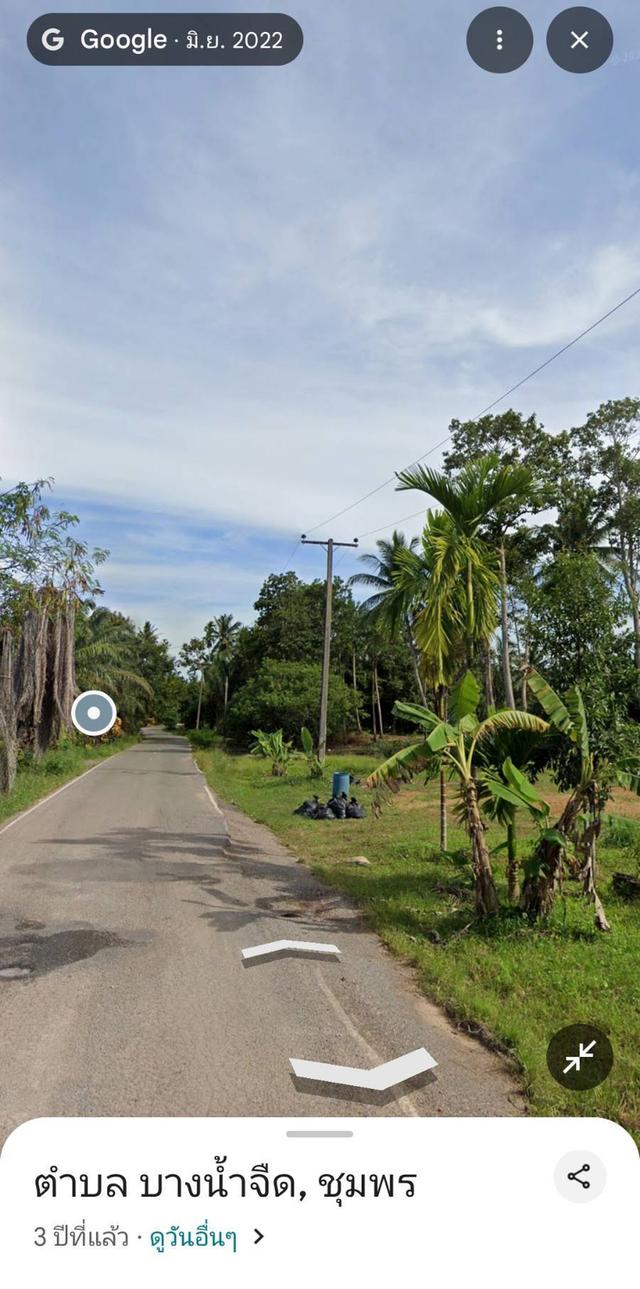 ที่ดิน สวนปาล์มน้ำมัน ต.บางน้ำจืด อ.หลังสวน จ.ชุมพร โฉนด พร้อมโอน 8