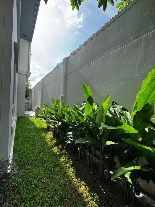 บ้านให้เช่ามัณฑนาบางนา-วงแหวน (รามคำแหง 2) 4 นอน 5 น้ำ 7