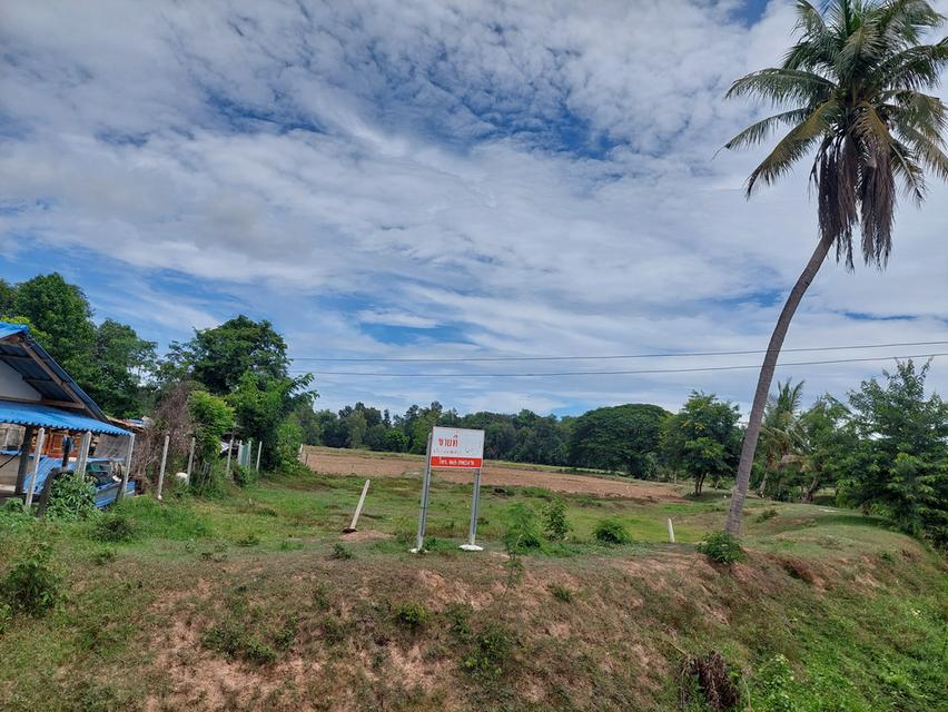 ขายด่วน! ที่ดินสีม่วง 8 ไร่เศษ หนองชุมพล อ.เขาย้อย จ.เพชรบุรี ทำเลสร้างโรงงาน-โกดัง ราคาถูกมาก 2